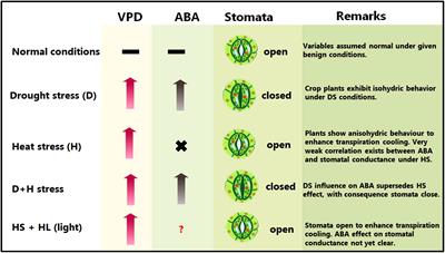 Metabolic pathways engineering for drought or/and heat tolerance in cereals